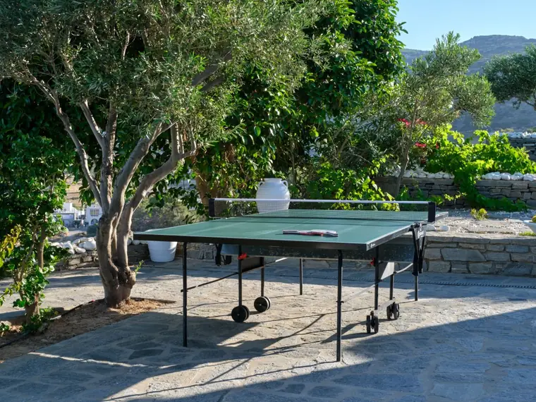 Table tennis beneath mature trees in the gardens