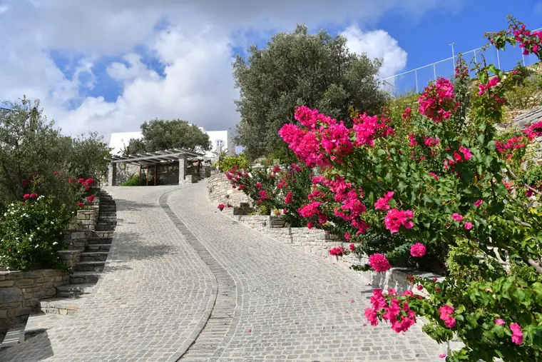 Bougainvillea-lined stone drive through the estate