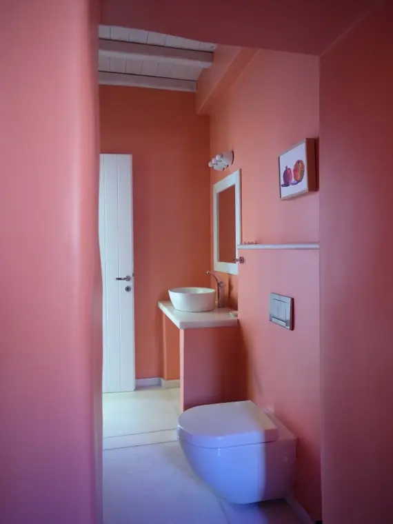 Coral-toned guest bathroom